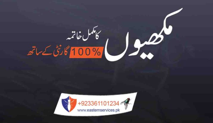 Flies Control in Pakistan