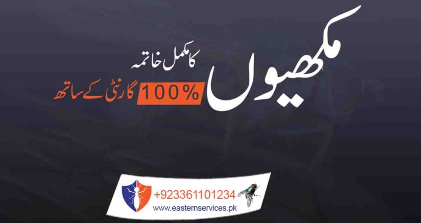 Flies Control in Pakistan