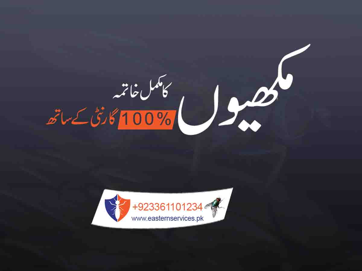 Flies Control in Pakistan