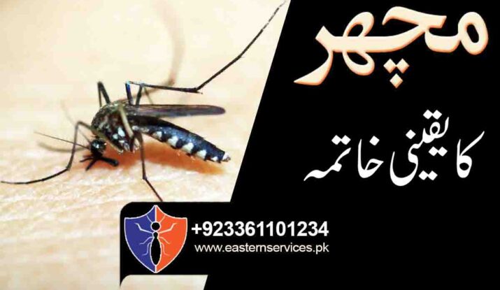 Mosquitoes Control Services in pakistan