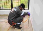 Termite control services in Islamabad