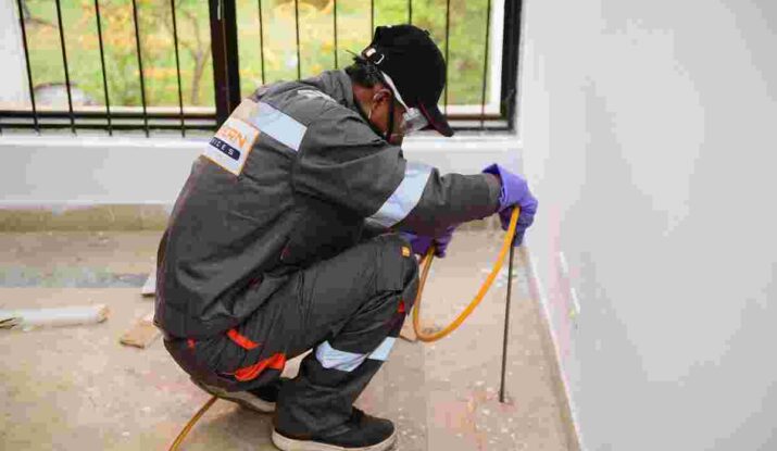 Termite control services in Islamabad