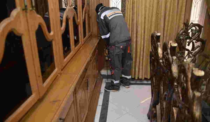 Termite control services in Rawalpindi