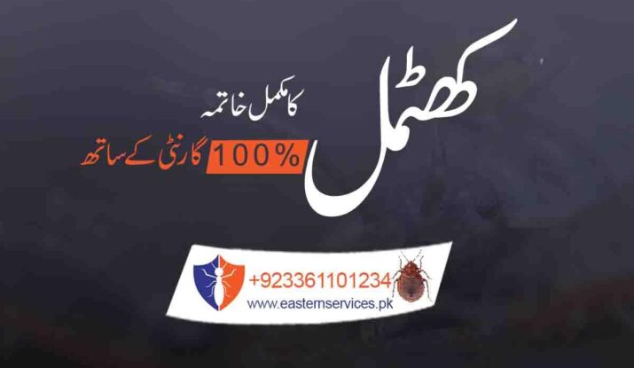 bed bugs control services in pakistan