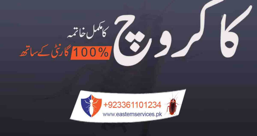 cockroach control services in Pakistan
