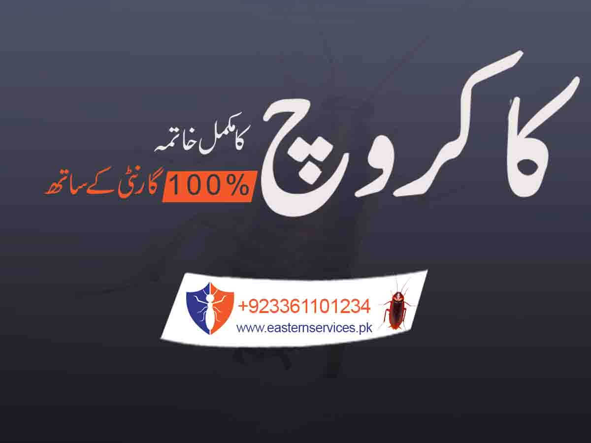cockroach control services in Pakistan