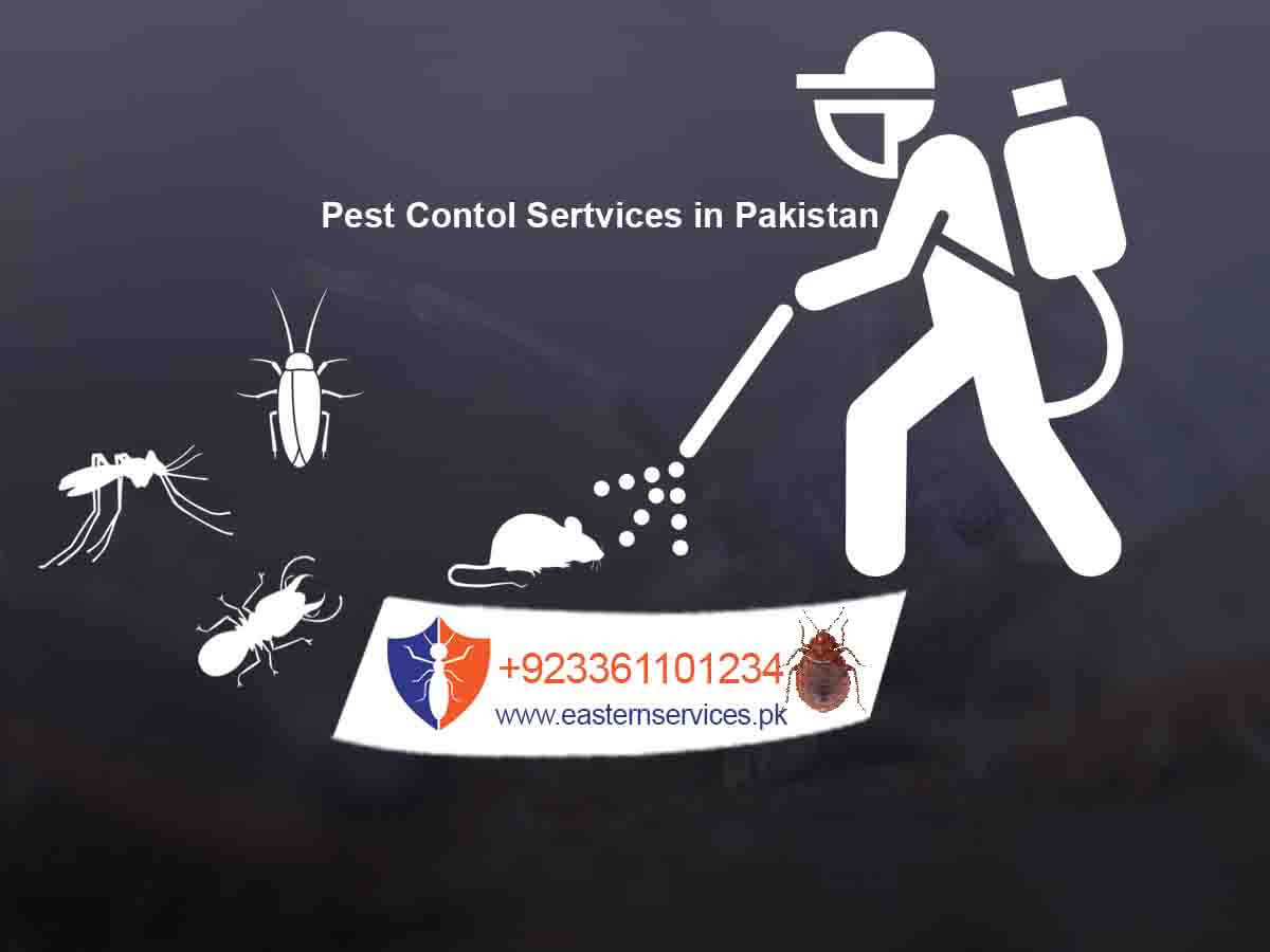 exterminator with qualitative pest control services