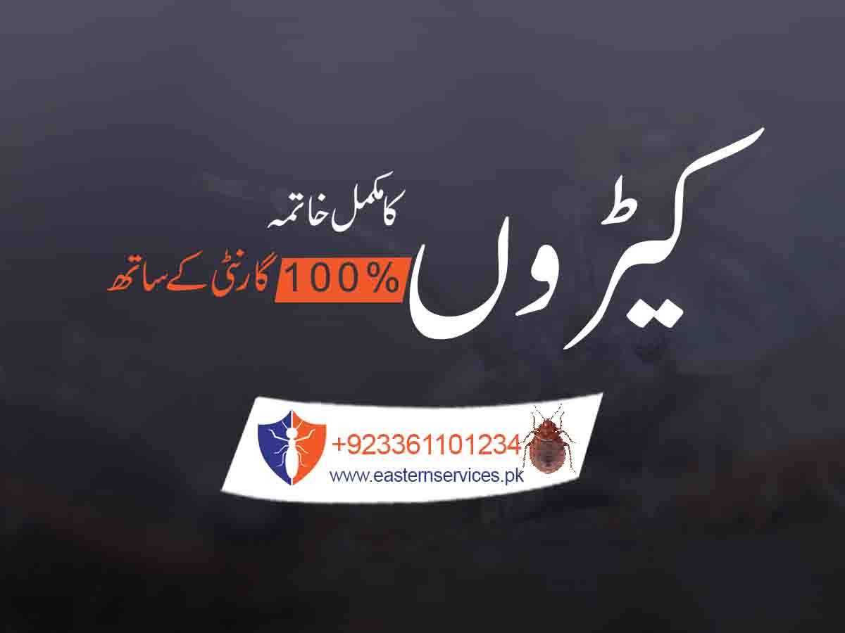 pesticides control services