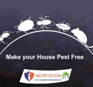 pests free home fumigation services in islamabad
