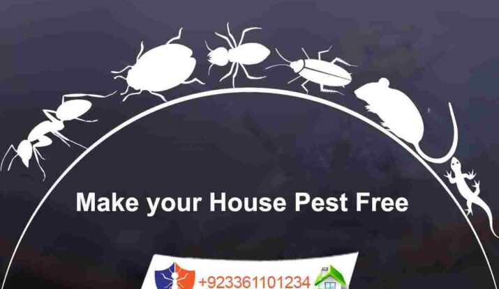 pests free home fumigation services in islamabad