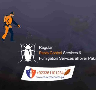 regular pest control services in pakistan