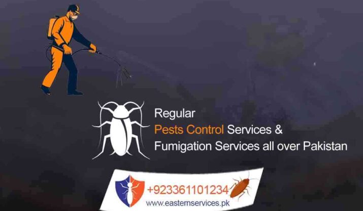 regular pest control services in pakistan