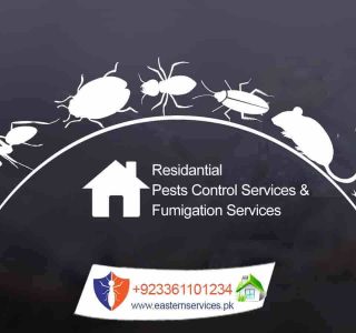 residential pest control services and fumigation services in Rawalpindi, Islamabad
