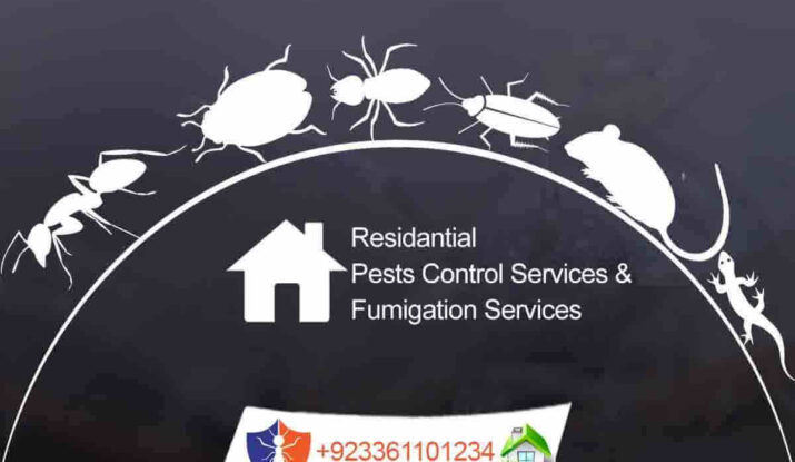residential pest control services and fumigation services in Rawalpindi, Islamabad