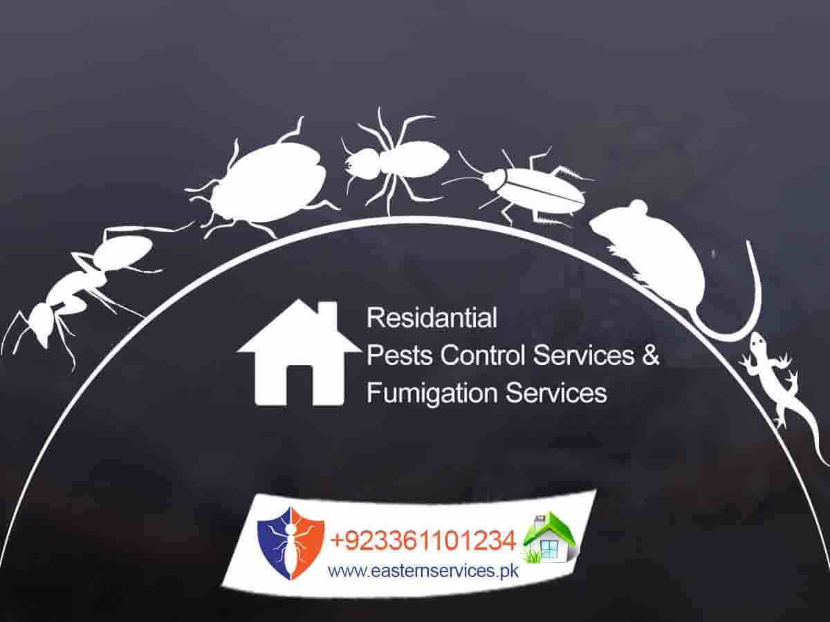 residential pest control services and fumigation services in Rawalpindi, Islamabad