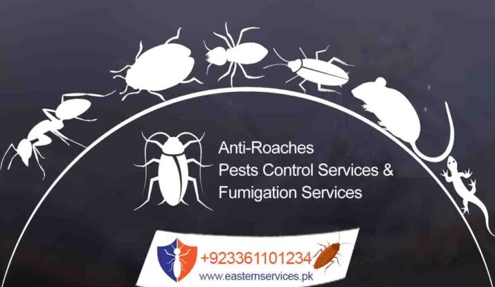 best roaches control services Pakistan