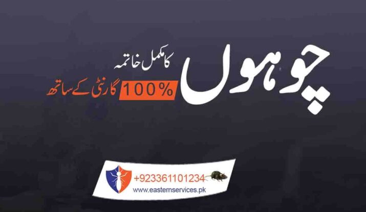 rodent control services