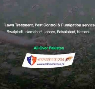 Lawn Treatment services in rawalpindi, Islamabad Pakistan