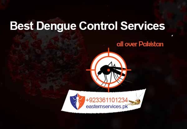 best dengue control services in rawalpindi