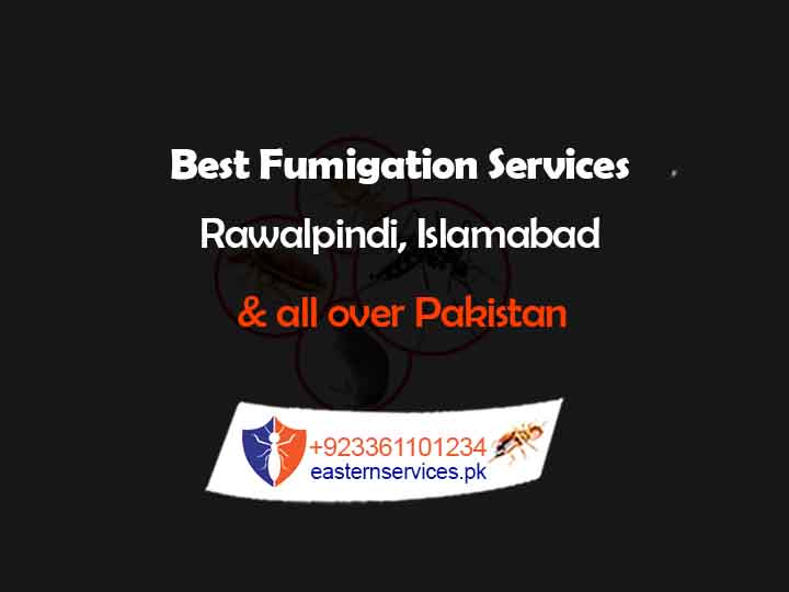 best fumigation services in rawalpindi Islamabad
