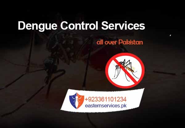 dengue control services rawalpindi, islamabad