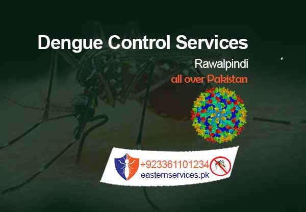 dengue control services in rawalpindi
