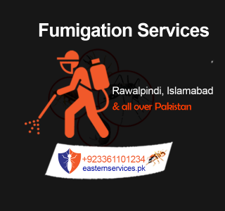 best fumigation services in rawalpindi