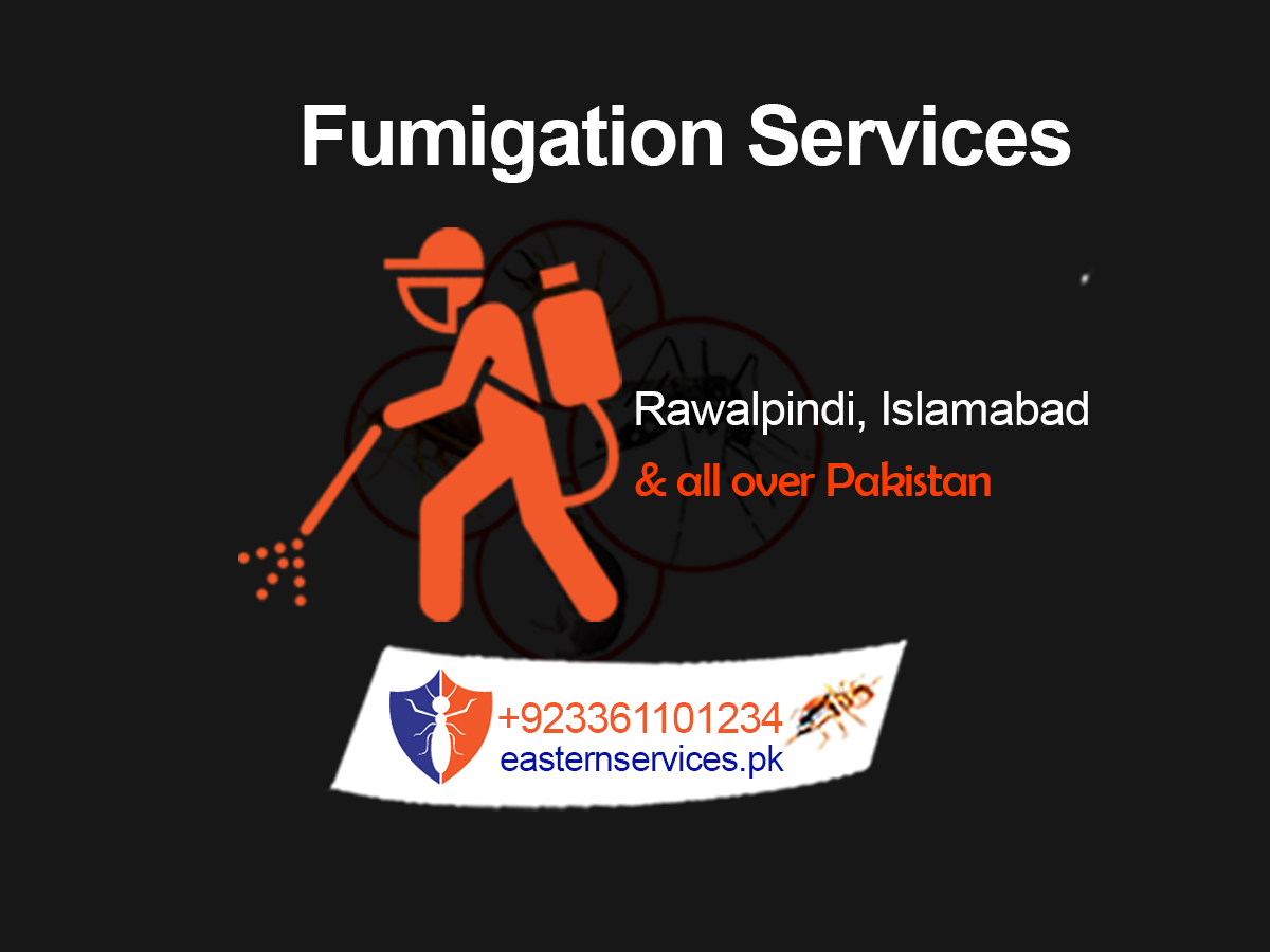 Fumigation Services Rawalpindi & Pest Control Services all over Pakistan..