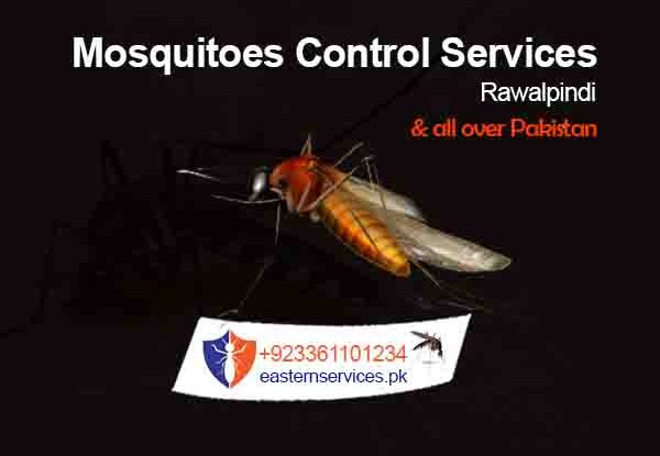 mosquitoes control services in rawalpindi