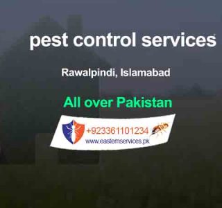 the best pest control services rawalpindi, islamabad pakistan