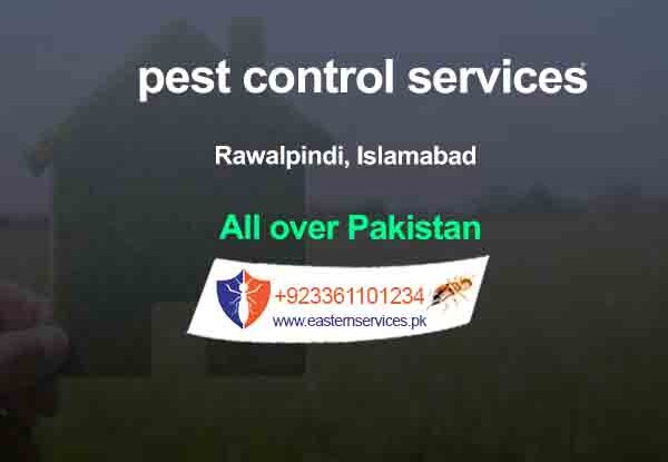 the best pest control services rawalpindi, islamabad pakistan