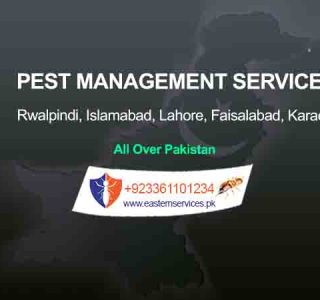 pest management services rawalpindi islamabad