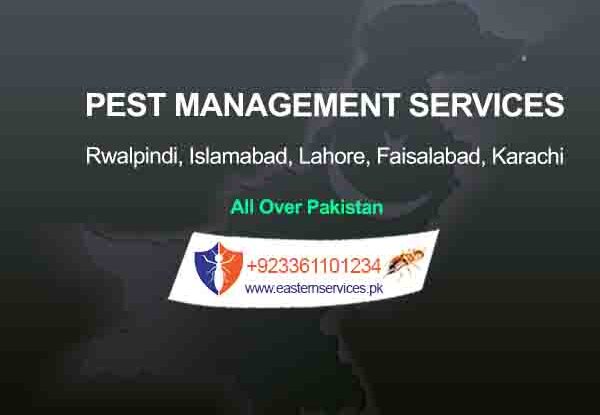 pest management services rawalpindi islamabad
