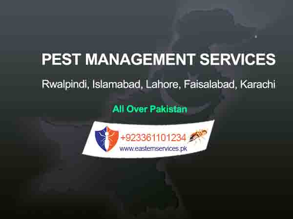 pest management services rawalpindi islamabad