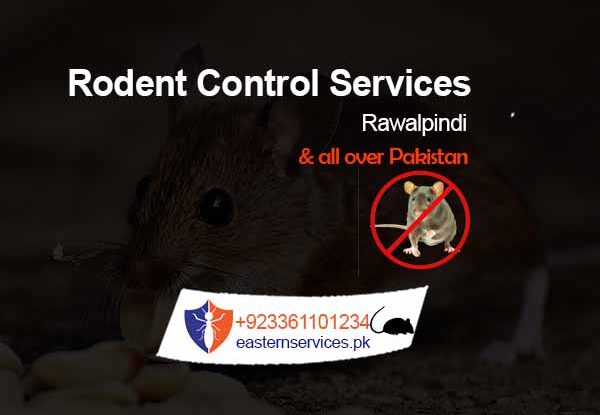 odent control services in islamabad