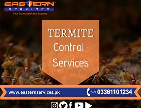 best termite control services all over pakistan