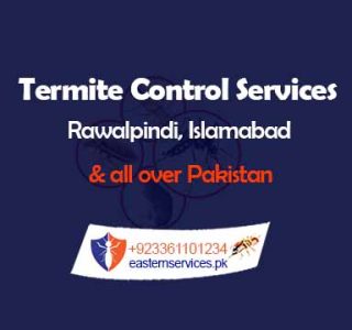 Best termite control services in rawalpindi