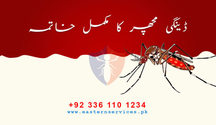 Dengue mosquitoes control in Pakistan
