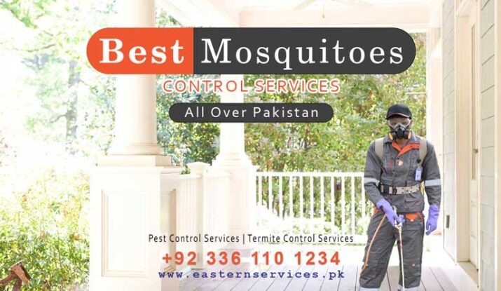 Best mosquitoes control services all over Pakistan