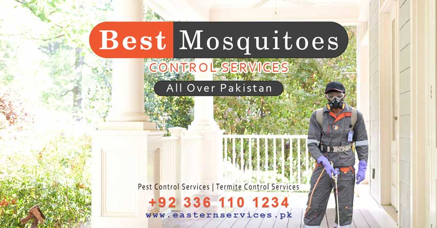 Best mosquitoes control services all over Pakistan