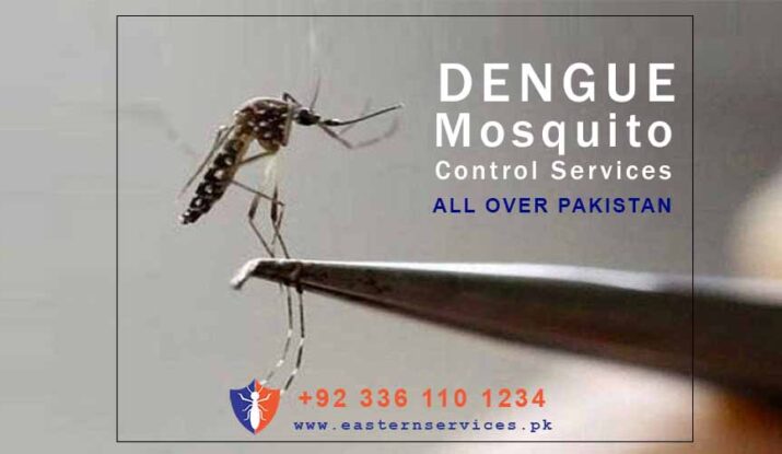 dengue mosquito control services Islamabad