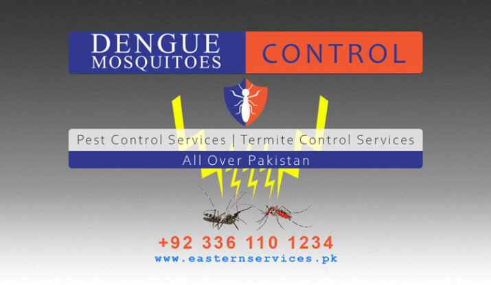 dengue mosquitoes control