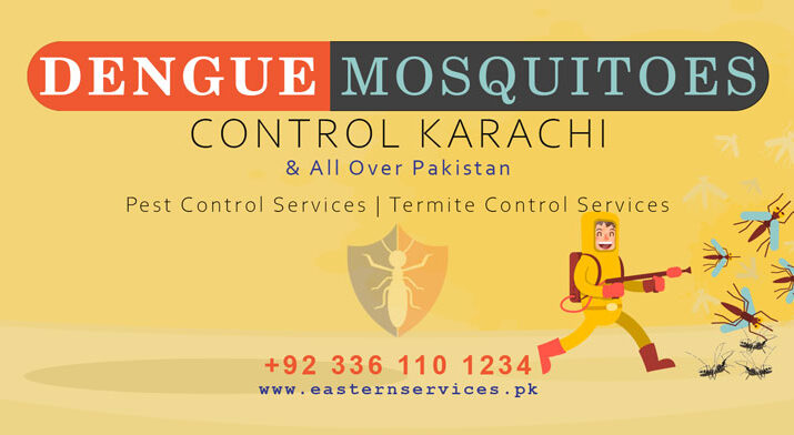 dengue mosquitoes control services Karachi