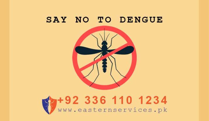 Dengue mosquitoes control services in rawalpindi