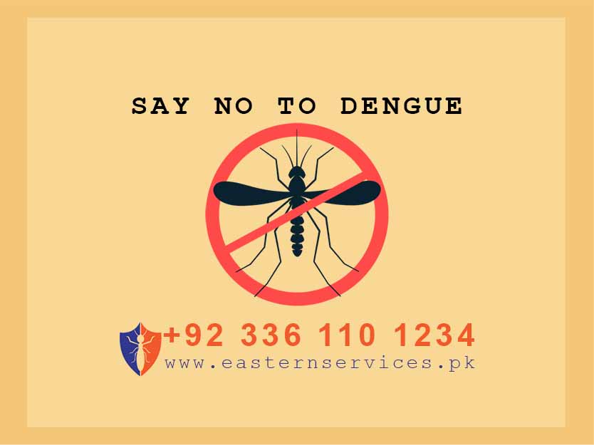 Dengue mosquitoes control services in rawalpindi