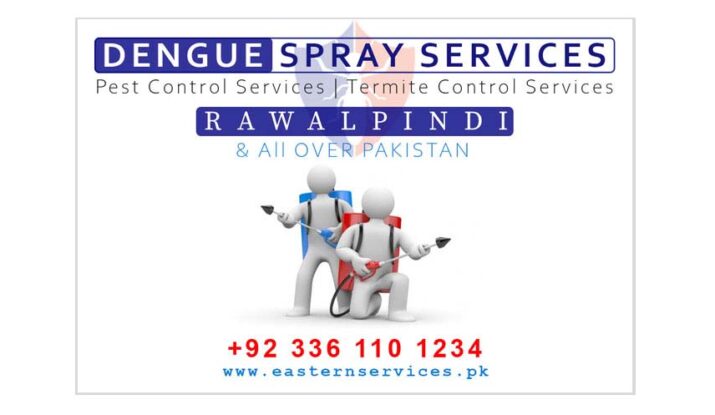 Dengue spray services Rawalpindi