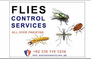 flies & mosquitoes control services