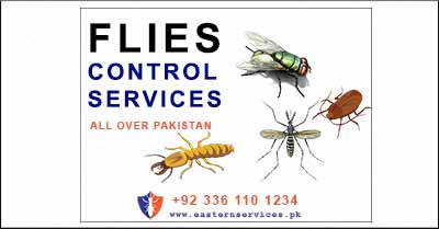 flies & mosquitoes control services
