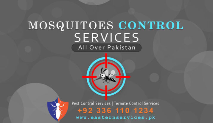 best mosquitoes control services near me