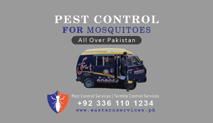 pest control for mosquitoes